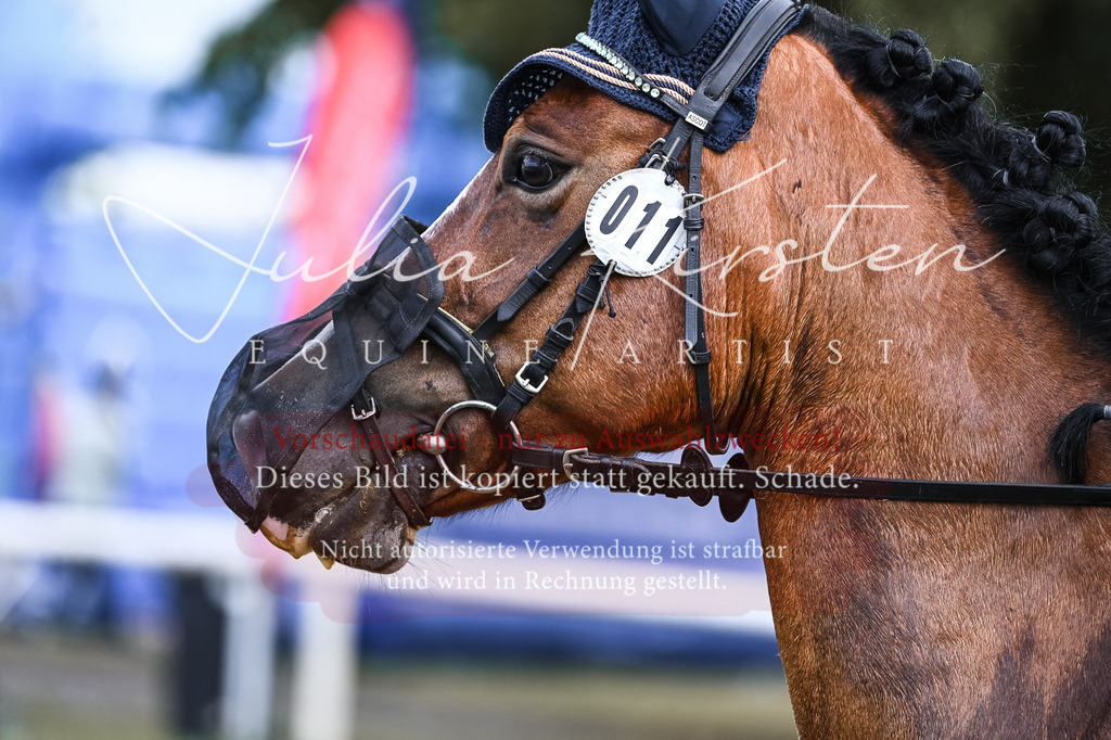 DSC_8209 | Pferde- und Turnierfotografie in Westsachsen. Pferdeportraits, Auftragszeichnungen und intuitive Kunst.