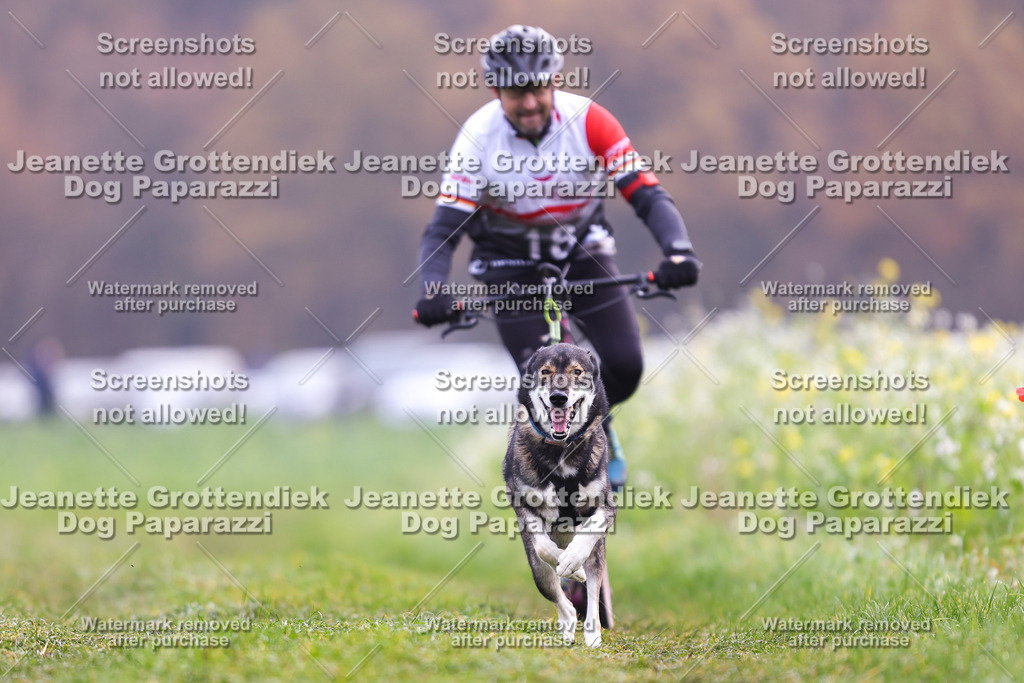 Dog Paparazzi - Visbeck 25 -289 | Dog Paparazzi Jeanette Grottendiek Fotografie & Videografie - Realisiert mit Pictrs.com