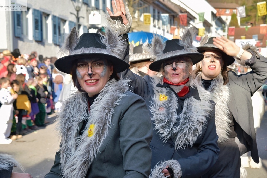 FaSoUmzug-159-RA | Fotoblog Schwarzwald, Foto Blog Wiesental, Pfaffenberg, Winterzauber, Zeller Bergland, Zell im Wiesental, Fotoblog Wiesental, Landschaftsfotos, Bilder Wiesental, Natur, Naturbilder, Fastnacht, Zeller Fastnacht, Zeller Fasnacht, Zeller Bergland, Belchen, - Realisiert mit Pictrs.com