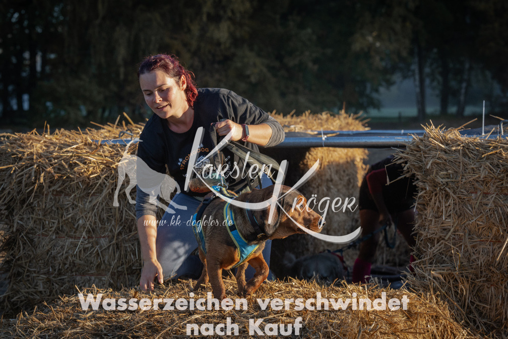 0905_ZZ91125 | kk-dogfotos