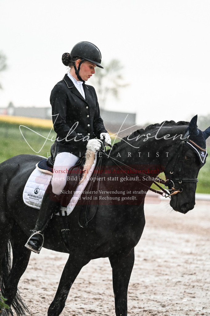DSC_4738 | Pferde- und Turnierfotografie in Westsachsen. Pferdeportraits, Auftragszeichnungen und intuitive Kunst.