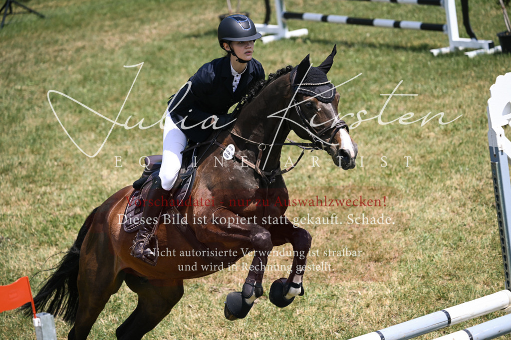 DSC_9577 | Pferde- und Turnierfotografie in Westsachsen. Pferdeportraits, Auftragszeichnungen und intuitive Kunst.