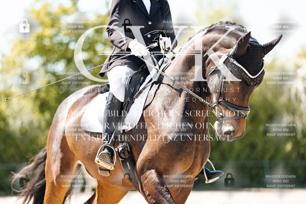 CK905418 | Turnierfotografie Pferdefotografie Trier Rheinland-Pfalz Pferdesport Reitsport Tierfotografie Sportfotografie Pferdevideo Pferdevideografie Equestrianvideography equestrianphotography  - Realisiert mit Pictrs.com
