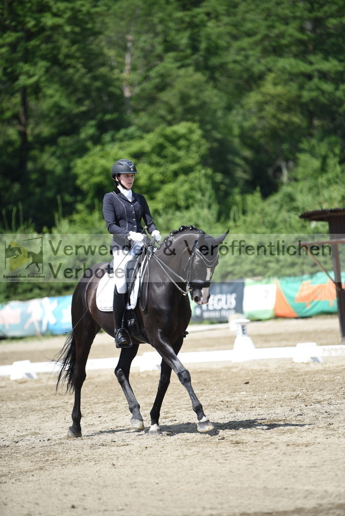 DSC_8985 | equestrian-live-com