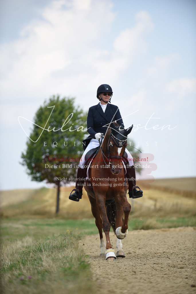 DSC_4282 | Pferde- und Turnierfotografie in Westsachsen. Pferdeportraits, Auftragszeichnungen und intuitive Kunst.