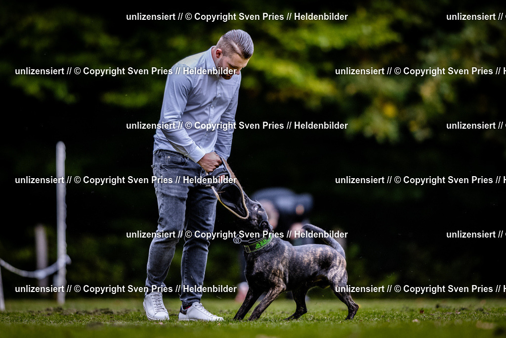 Sven Pries | 2025-10-03 - Hunderennen Obergrombach - Realisiert mit Pictrs.com