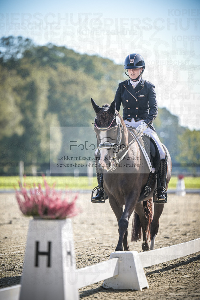 DOS_0767 | Entdecke hochwertige Reitturnierfotos von Foto Oger. Professionell, emotional und authentisch – jetzt Lieblingsmomente im Shop bestellen.Deutschlandweite Turnierfotografie. - Realisiert mit Pictrs.com