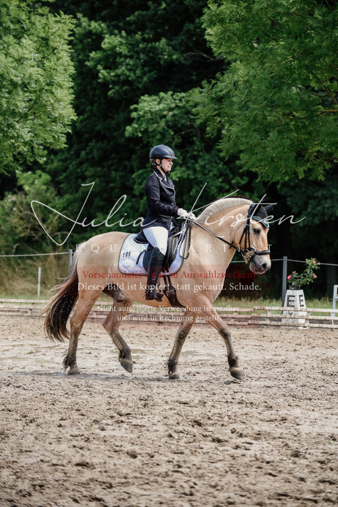 DSC_1638 | Pferde- und Turnierfotografie in Westsachsen. Pferdeportraits, Auftragszeichnungen und intuitive Kunst.