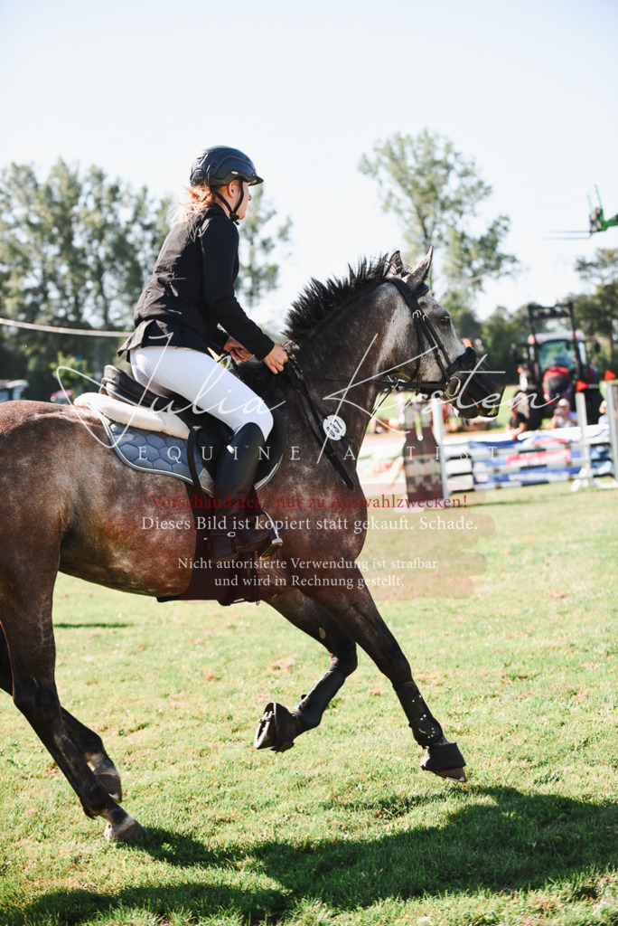 DSC_2557 | Pferde- und Turnierfotografie in Westsachsen. Pferdeportraits, Auftragszeichnungen und intuitive Kunst.