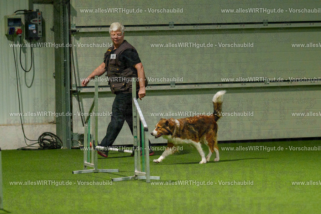 7R508798 | Professionelle Tierfotografie in Mönchengladbach von Daniel Wirth (allesWIRTHgut). Liebevolle & natürliche Bilder von Hunden & Katzen für unvergessliche Erinnerungen.