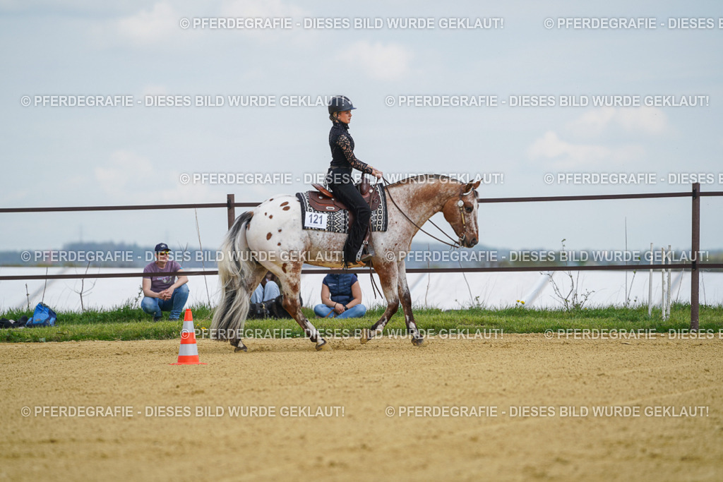 DSC05676 | Pferdegrafie