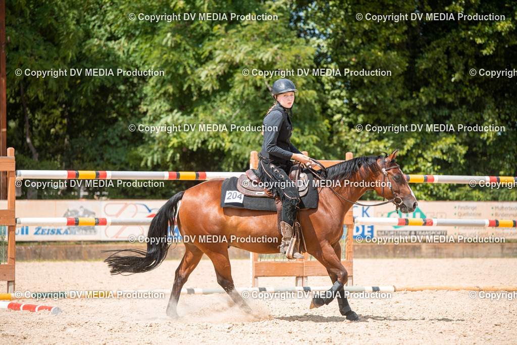 EWP_6681 | dv-media-shop - Realisiert mit Pictrs.com