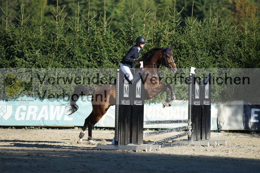 DSC08231 | equestrian-live-com