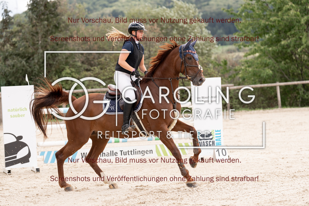 DSC06460 | Springturnier_Teamchallege_Talheim_2026, Romy_Hack, Alm_von_der_Hütlen