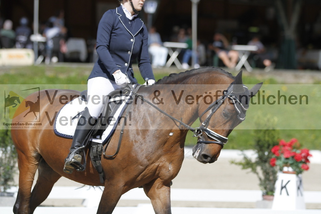 _MG_6662 | equestrian-live-com