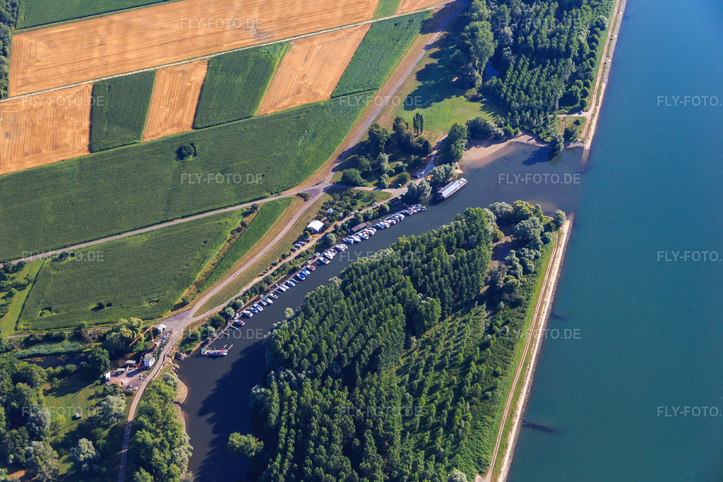 Luftbild: Yachthafen Neuburg an der Lautermündung in Neuburg am Rhein im Bundesland Rheinland-Pfalz in Deutschland. Foto: IMG_084039.jpg vom 26.07.2015 durch Werner Riehm/FLY-FOTO.de