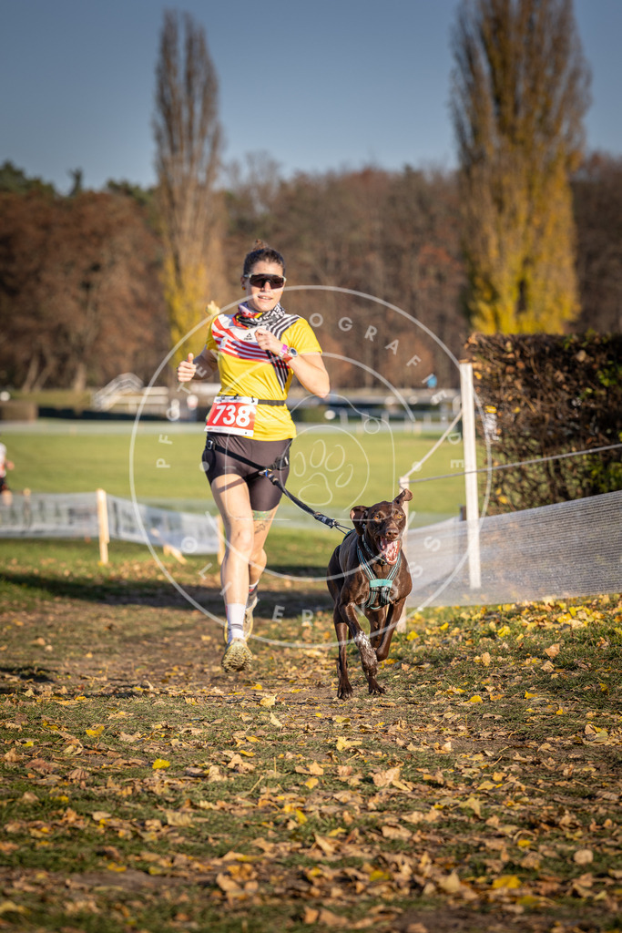 CaniXpix_DV3A2184 | Hundefotografie, Tierfotograf, Pfotenfotografie, Fotoshooting Hund, Hunde Portrait, Hundesport, Hundeportraits, Heideshooting, Hunde, Sportfotograf, Hundefotograf, Turnierhundsport, THS,  - Realisiert mit Pictrs.com