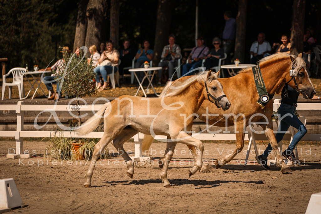 06.DoH00158 | Leoni Ertmer Photography - Realisiert mit Pictrs.com