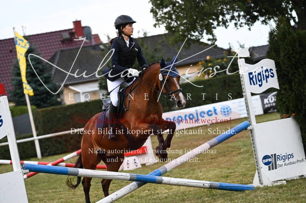 DSC_5490 | Pferde- und Turnierfotografie in Westsachsen. Pferdeportraits, Auftragszeichnungen und intuitive Kunst.