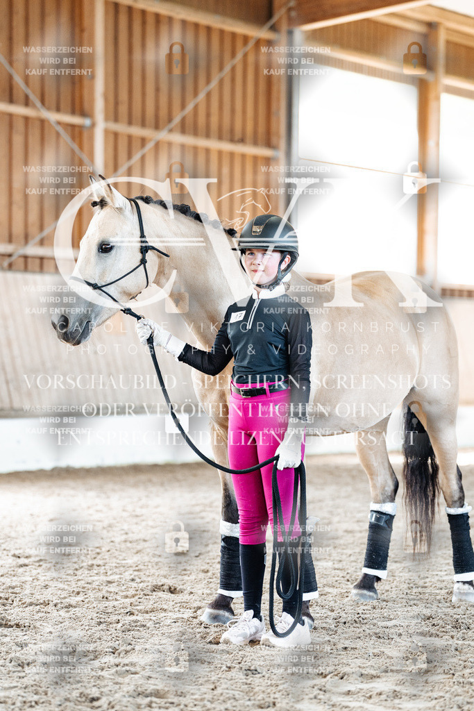 CK907222 | Turnierfotografie Pferdefotografie Trier Rheinland-Pfalz Pferdesport Reitsport Tierfotografie Sportfotografie Pferdevideo Pferdevideografie Equestrianvideography equestrianphotography  - Realized with Pictrs.com