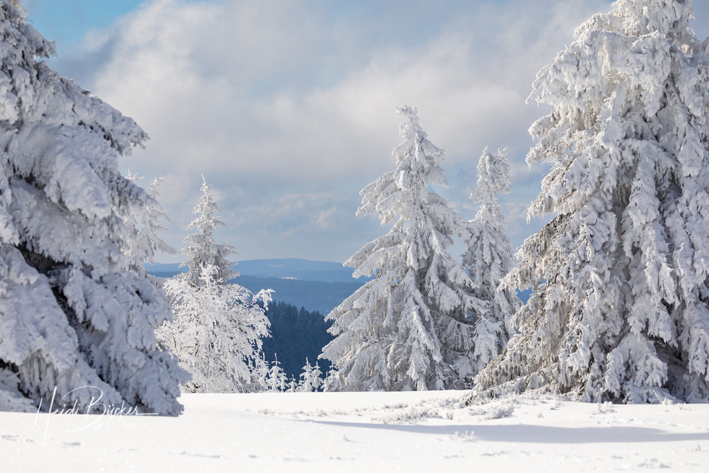 Winterlandschaft auf dem Kahlen Asten | Schneebedeckte Tannen auf dem Kahlen Asten bei Winterberg - Realisiert mit Pictrs.com