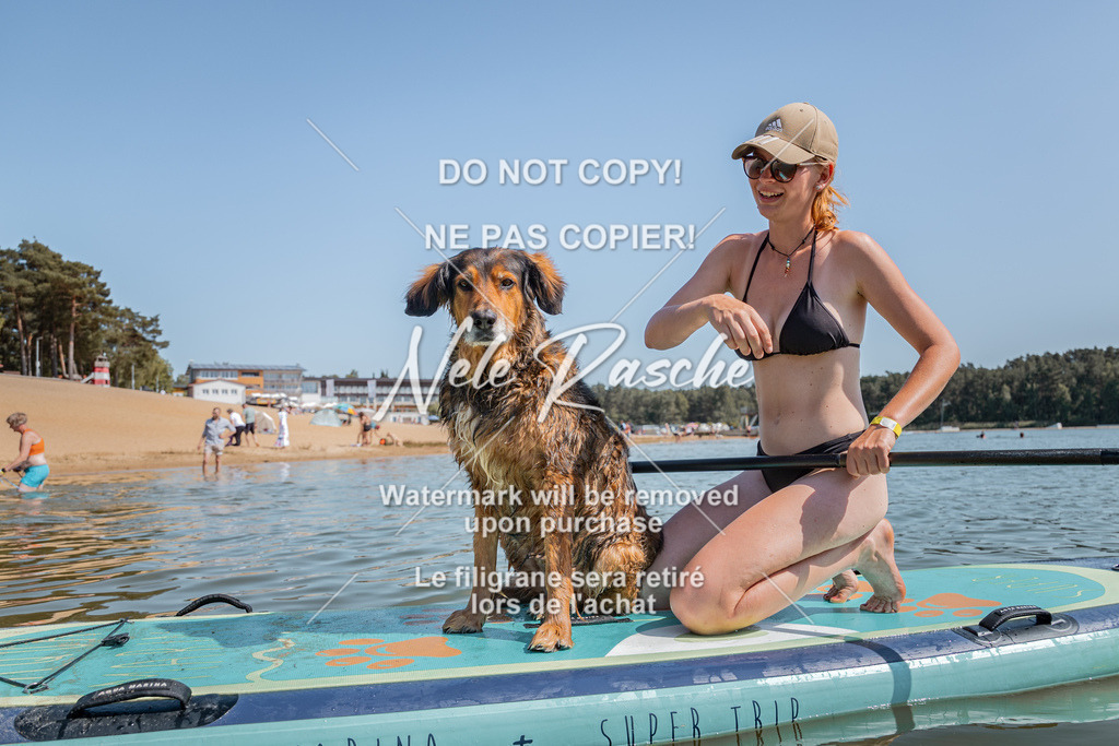 nelerasche_saSUP3_109 | nelerasche