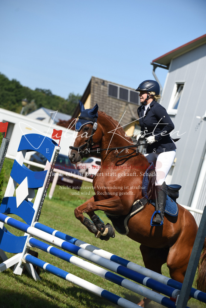 DSC_9289 | Pferde- und Turnierfotografie in Westsachsen. Pferdeportraits, Auftragszeichnungen und intuitive Kunst.