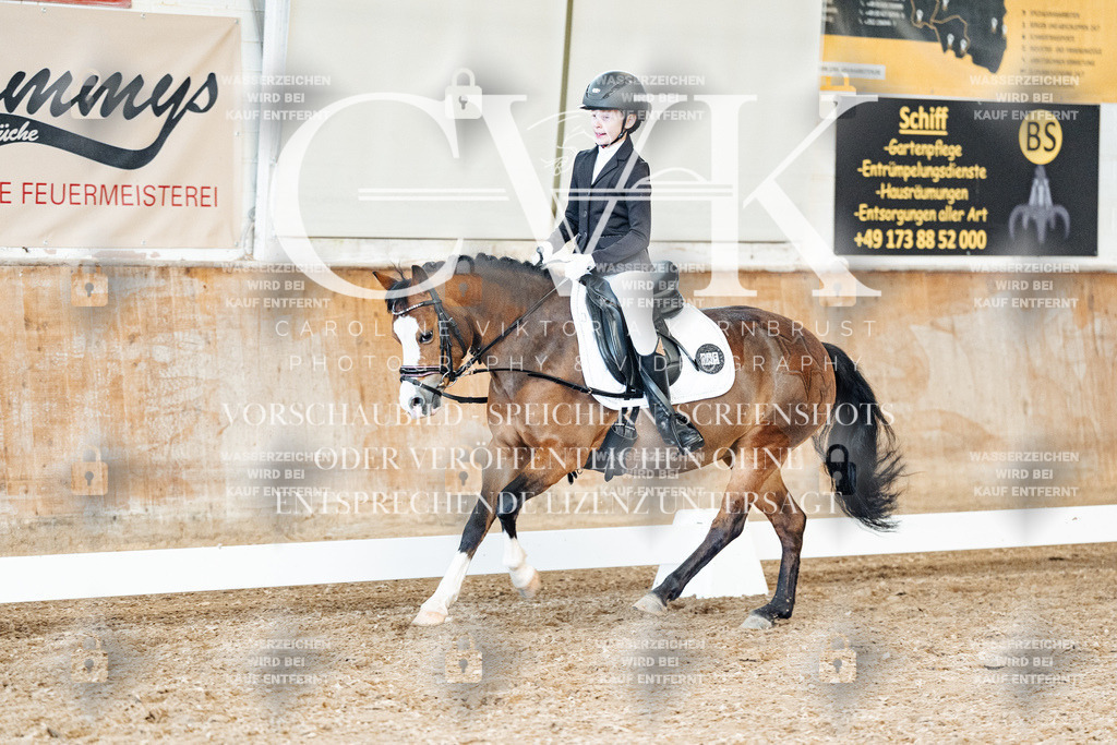 CK900561 | Turnierfotografie Pferdefotografie Trier Rheinland-Pfalz Pferdesport Reitsport Tierfotografie Sportfotografie Pferdevideo Pferdevideografie Equestrianvideography equestrianphotography  - Realisiert mit Pictrs.com