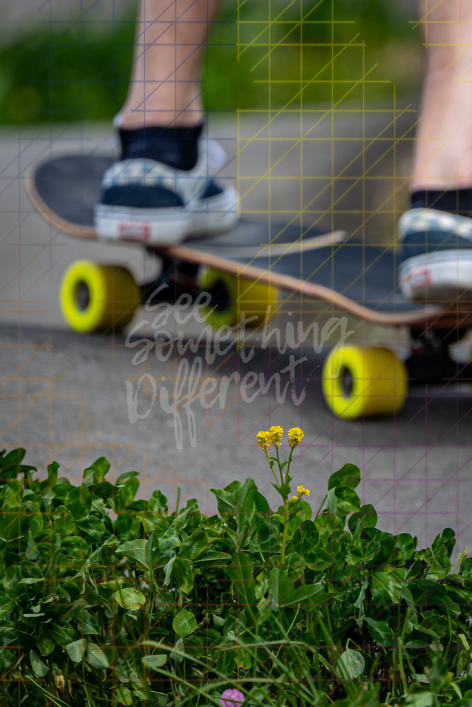 2T7A7457 | See something different - Realisiert mit Pictrs.com