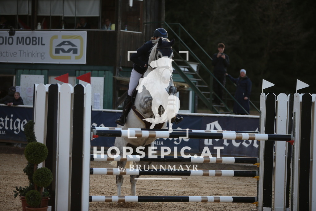 AS8V8885 | Willkommen bei Brunnmayr - Design & Fotografie – Ihrem Spezialisten für Reitturniere und Pferdeveranstaltungen in Oberösterreich, Salzburg und Bayern! Seit über 17 Jahren sind wir leidenschaftlich dabei.