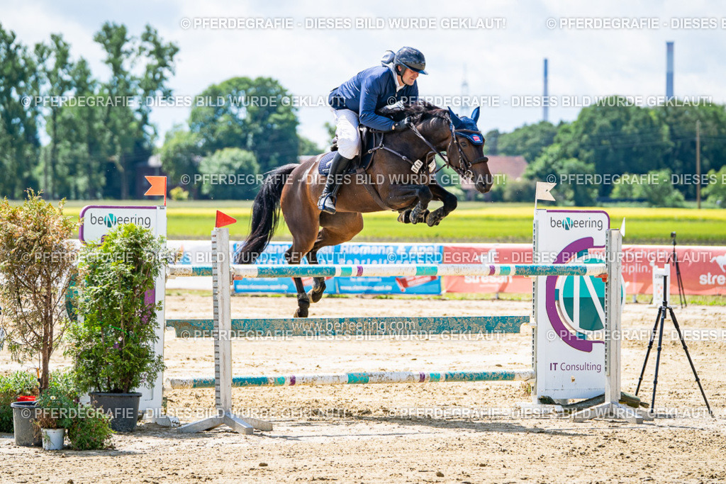 DSC05010 | Pferdegrafie