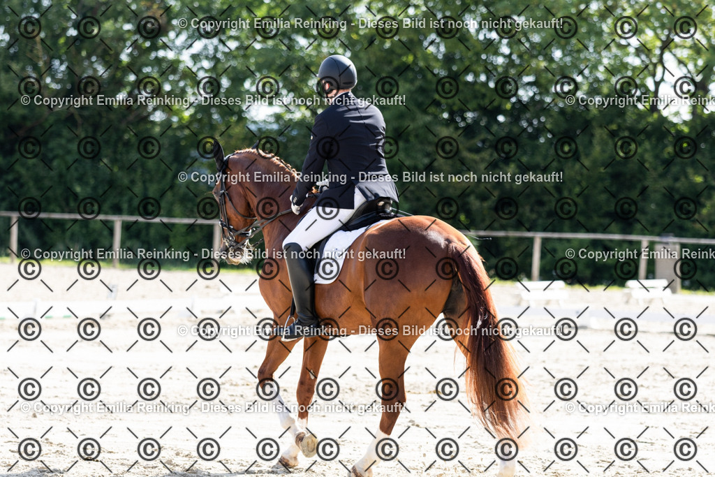 CL5A5844 | Emilia Reinking Fotografie - Realisiert mit Pictrs.com