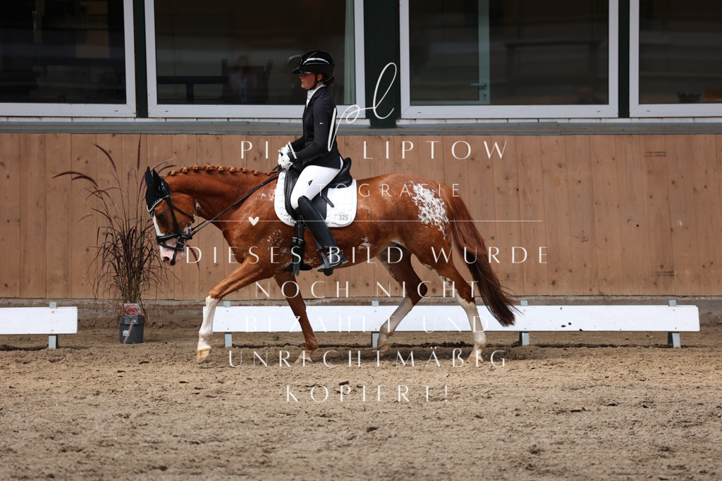 IMGM7531 | pl-fotografie