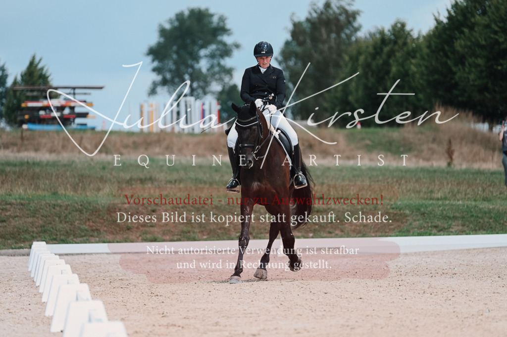 DSC_4256 | Pferde- und Turnierfotografie in Westsachsen. Pferdeportraits, Auftragszeichnungen und intuitive Kunst.