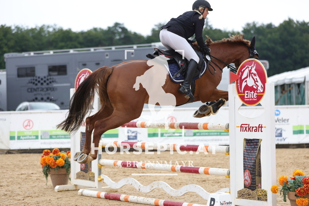 0P6A3040 | Willkommen bei Brunnmayr - Design & Fotografie – Ihrem Spezialisten für Reitturniere und Pferdeveranstaltungen in Oberösterreich, Salzburg und Bayern! Seit über 17 Jahren sind wir leidenschaftlich dabei.