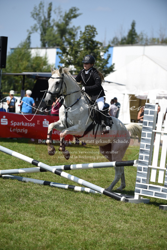 DSC_9884 | Pferde- und Turnierfotografie in Westsachsen. Pferdeportraits, Auftragszeichnungen und intuitive Kunst.