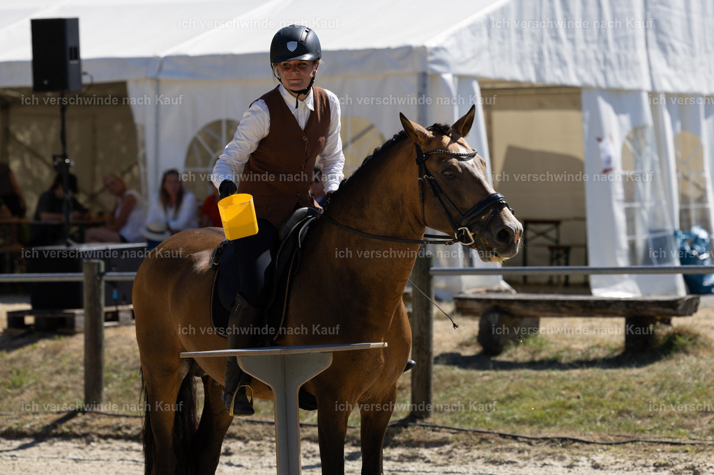 WE_Trail_23_KerstinBernhardt-24 | working equitationturnier fotograf videograf stoibphotography marixx film working equitation deutschland reitsport turnierfotografie eventfotografie equestrian events