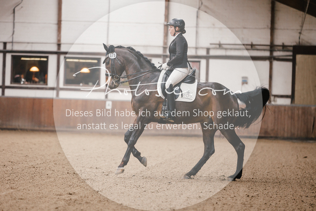 3I6A8691 | Stimmungsvolle Portraits und Reitsportfotografie im Ruhrgebiet und im Münsterland.

Pferdefotografie, Hundefotografie, Tierfotografie, Reportagen, Portraits von Tier und Mensch, Turnierfotografie in Bochum, Recklinghausen, Marl, Haltern am See, Dülmen.. - Realisiert mit Pictrs.com