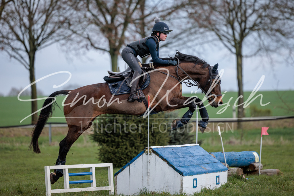 20260329-_3LI4389 | Tierfotografie Pferde, Hunde, Katzen, Haustiere.
Turnierfotografie Reitturniere, Reiten, Springreiten, Dressur in Hanau, dem Main-Kinzig-Kreis und dem Rhein-Main- Gebiet um Frankfurt