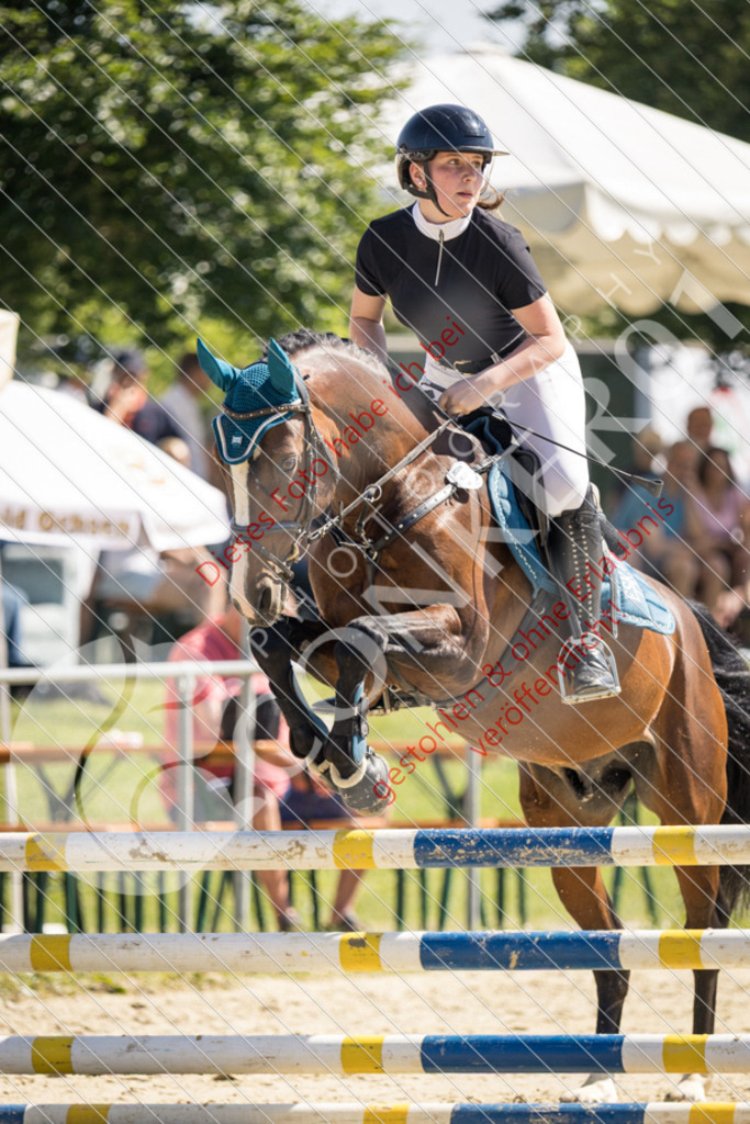 IMG_3456 | Sport-, Event- und Tierfotos in Profiqualität. Einfach auswählen, bestellen und herunterladen. Dein Moment – perfekt festgehalten.