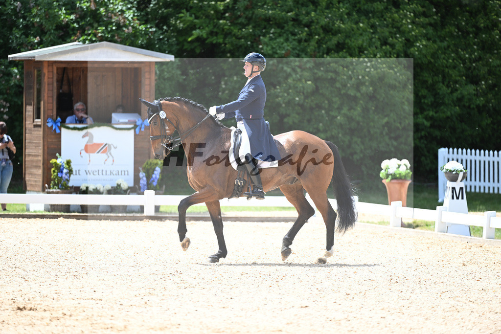 Connor_Venotti_11252849 | hf-fotografie - Realisiert mit Pictrs.com