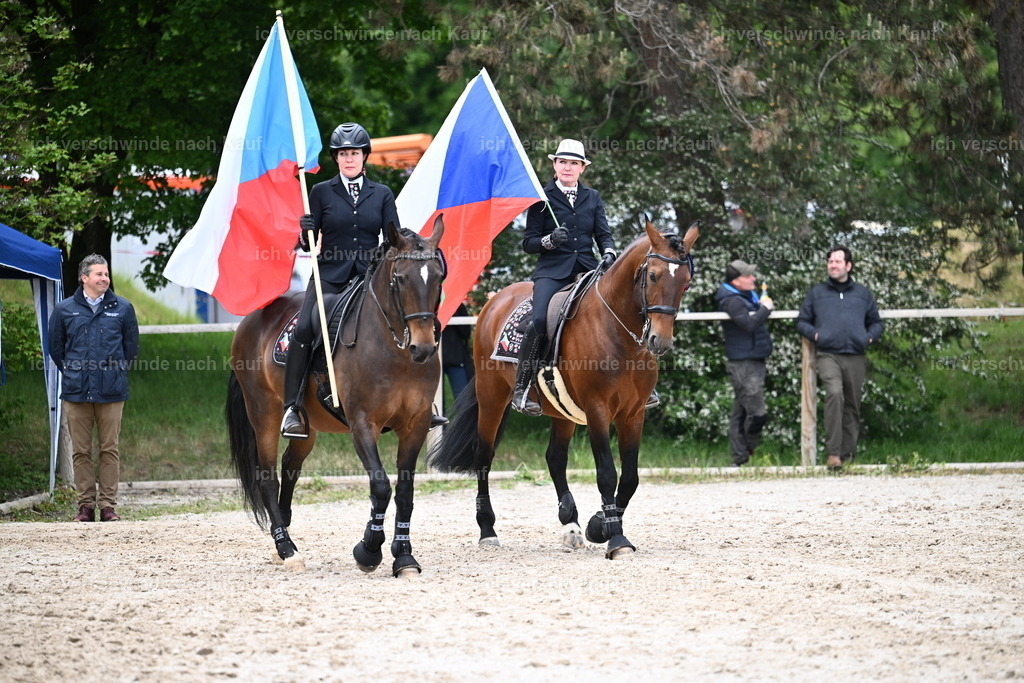 PI26_GesamtSEhrung_Sara_Landvogt_226_5934.JPG | working equitationturnier fotograf videograf stoibphotography marixx film working equitation deutschland reitsport turnierfotografie eventfotografie equestrian events