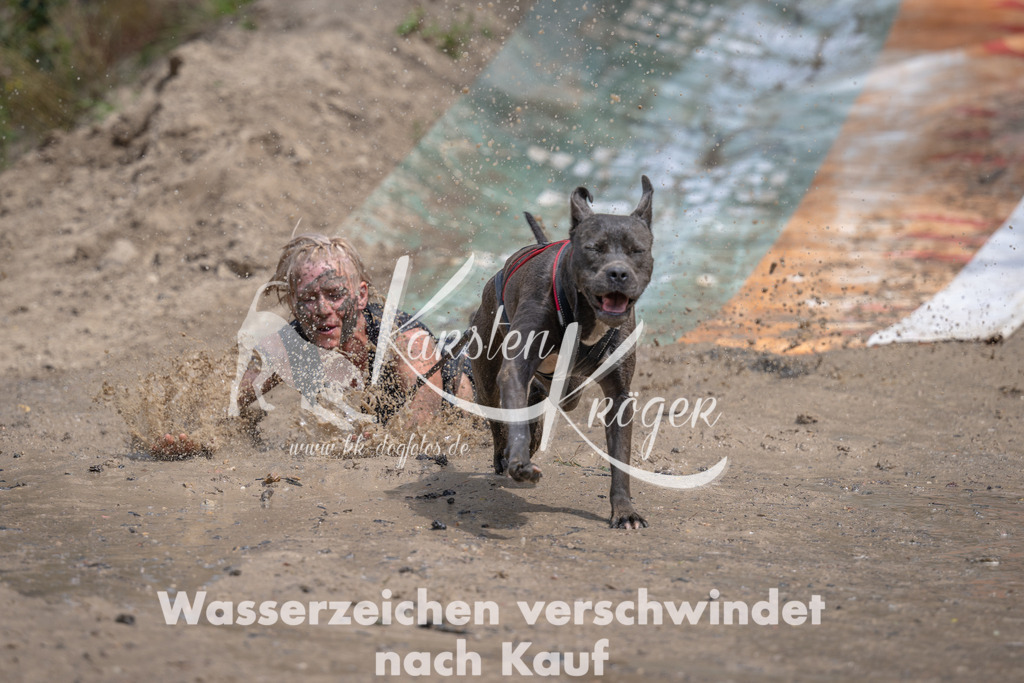 1239_ZZ92928 | kk-dogfotos