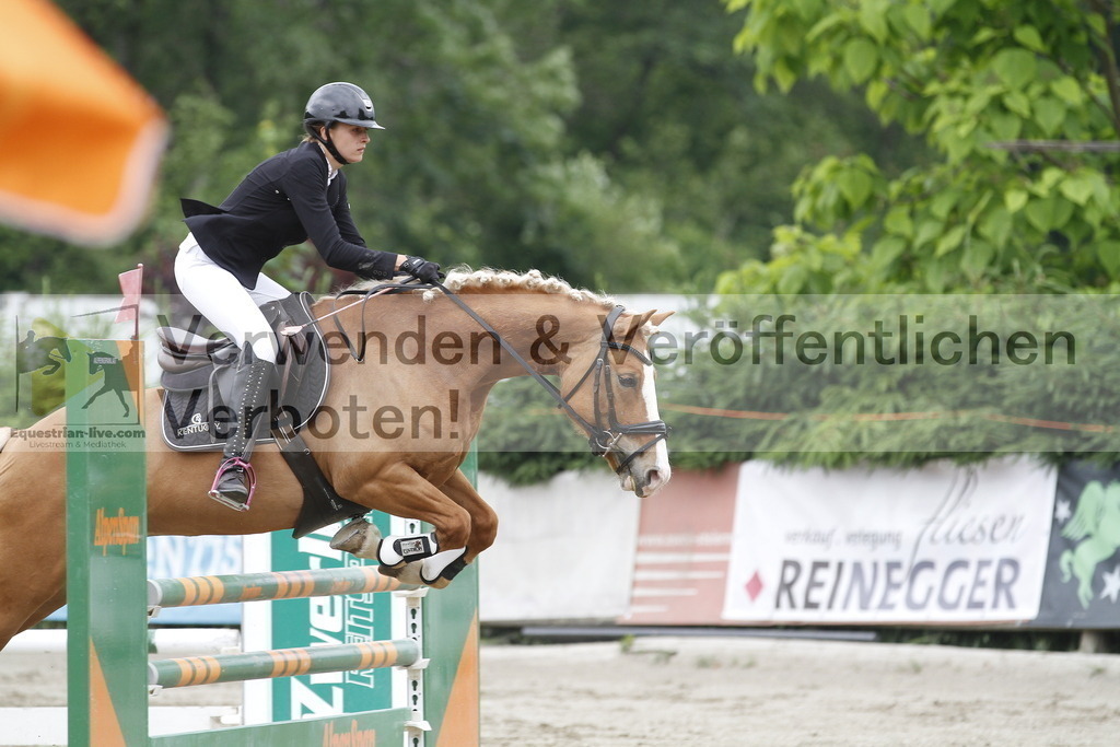_MG_6537 | equestrian-live-com