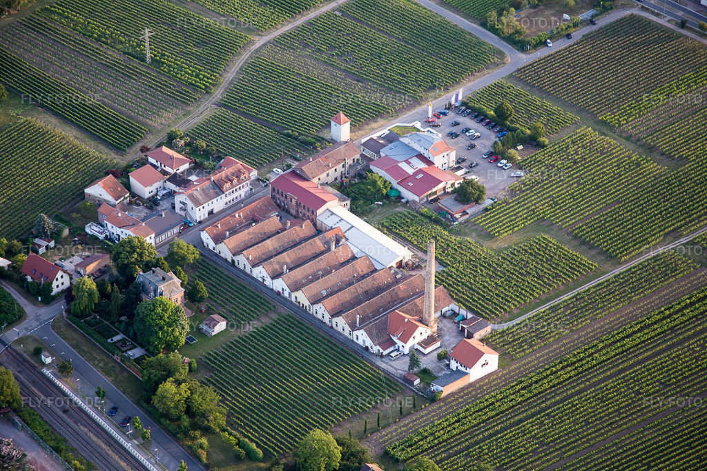 Luftbild: Weinbergs- Landschaft rund um Weingut Albert Götz KG im Ortsteil Bordmühle (Pfalz) in Kirrweiler im Bundesland Rheinland-Pfalz in Deutschland.Foto: IMG_082771.jpg vom 25.06.2015 durch Werner Riehm/FLY-FOTO.deAuflösung des Originals: 5472 x 3648 px