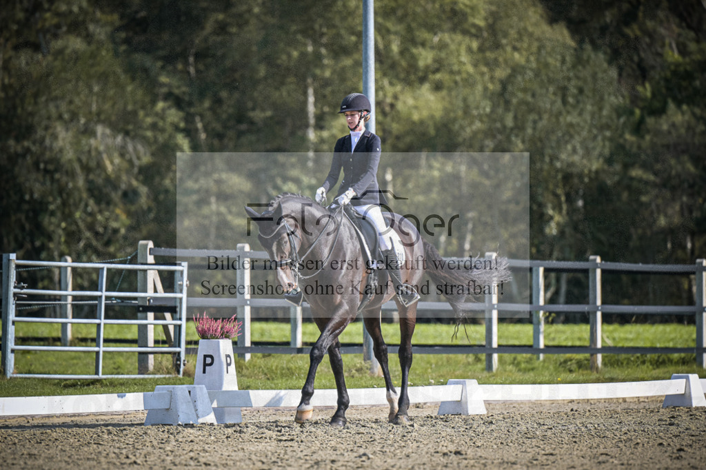 DOS_1881 | Entdecke hochwertige Reitturnierfotos von Foto Oger. Professionell, emotional und authentisch – jetzt Lieblingsmomente im Shop bestellen.Deutschlandweite Turnierfotografie. - Realisiert mit Pictrs.com