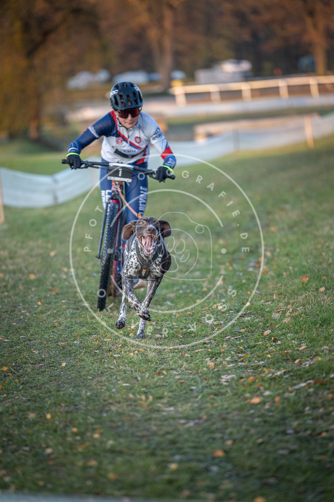 CaniXpix_DV3A9252 | Hundefotografie, Tierfotograf, Pfotenfotografie, Fotoshooting Hund, Hunde Portrait, Hundesport, Hundeportraits, Heideshooting, Hunde, Sportfotograf, Hundefotograf, Turnierhundsport, THS,  - Realisiert mit Pictrs.com