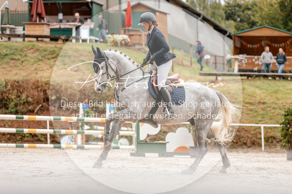 3I6A5840 | Stimmungsvolle Portraits und Reitsportfotografie im Ruhrgebiet und im Münsterland.

Pferdefotografie, Hundefotografie, Tierfotografie, Reportagen, Portraits von Tier und Mensch, Turnierfotografie in Bochum, Recklinghausen, Marl, Haltern am See, Dülmen.. - Realisiert mit Pictrs.com