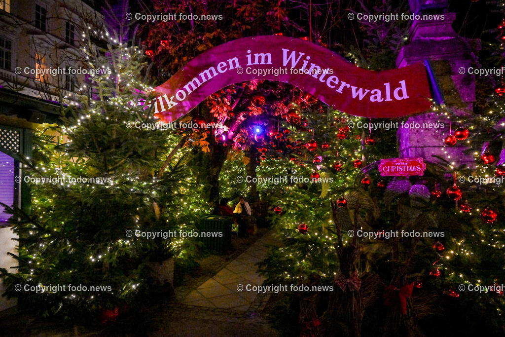 Weihnachtsmarkt_ Linz_ 22.11.2023-27 | 22.11.2023, Linz, AUT, Klosterhof, im Bild Winterzauber, Weihnachtsmarkt, Winterwald, Besucher, Tradition, Brauchtum, Beleuchtung, Tannen, Baume, Speisen, Getraenke