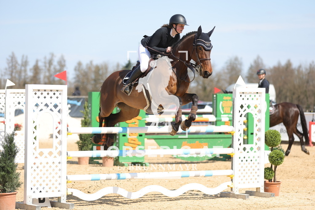 0P6A1253 | Willkommen bei Brunnmayr - Design & Fotografie – Ihrem Spezialisten für Reitturniere und Pferdeveranstaltungen in Oberösterreich, Salzburg und Bayern! Seit über 17 Jahren sind wir leidenschaftlich dabei.